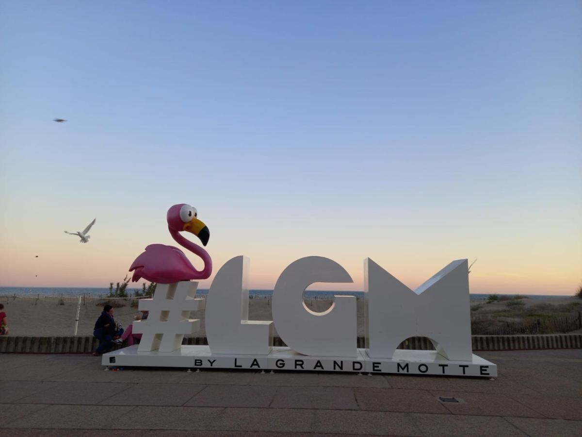 Le Cocon De Flo, Studio Face A La Mer Au Couchant La Grande Motte Exteriör bild